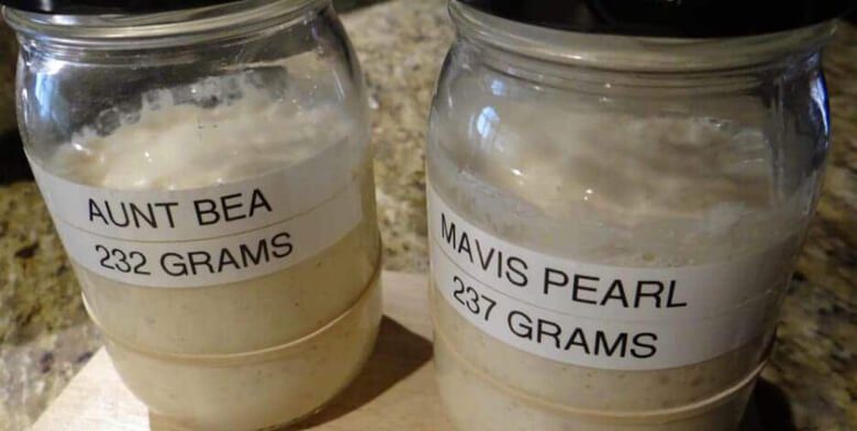 yeast in 2 large jars